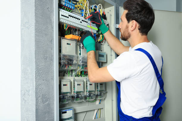 Best Licensed Electrician  in Pleasant Valley, MO